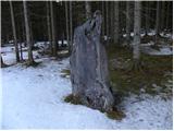 Gozdarska koča Rovtarica - Planina Pečana